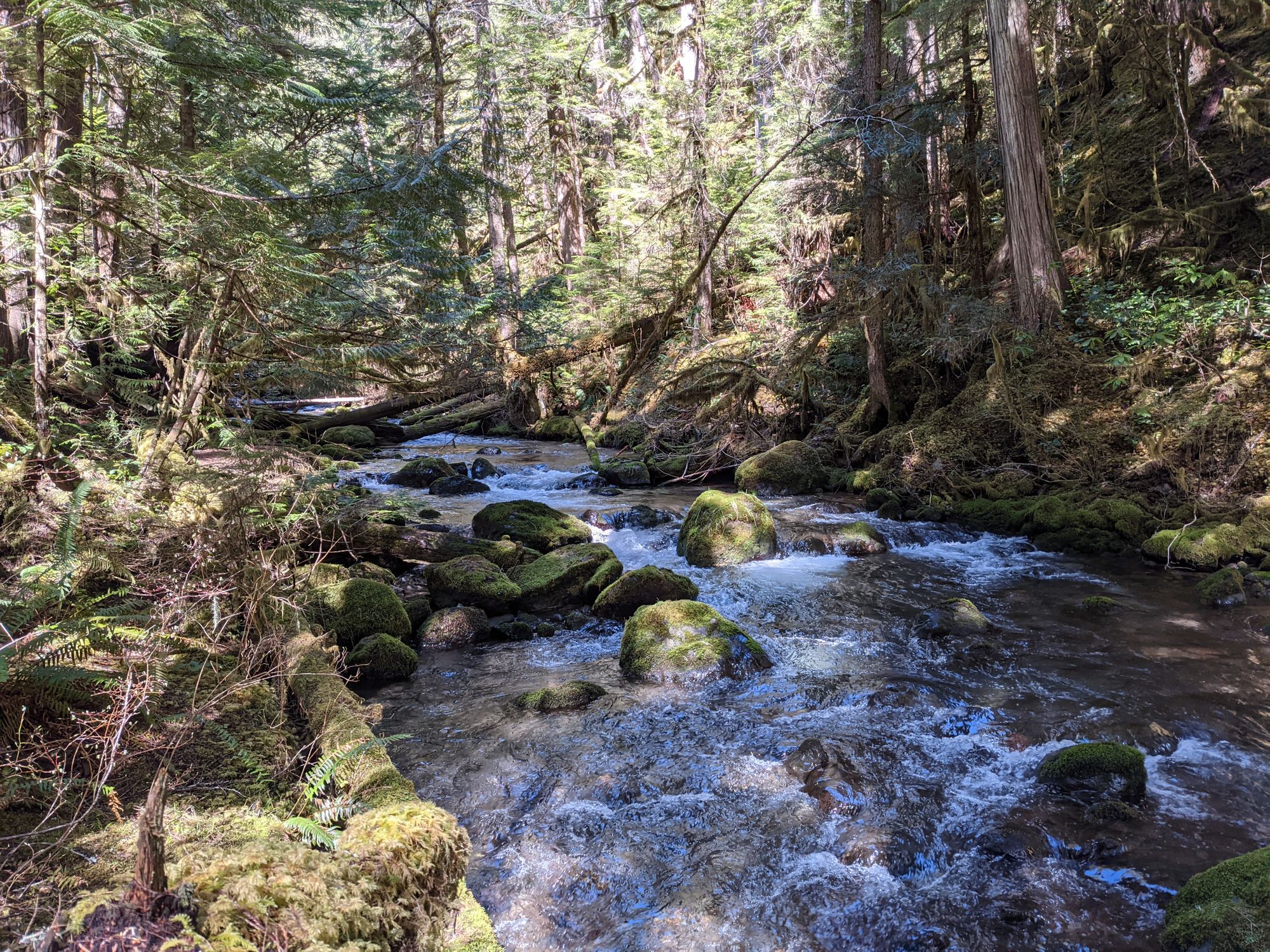 Dosewallips State Park