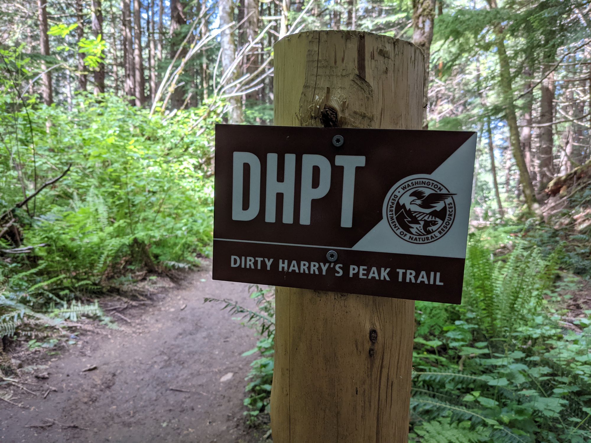 Dirty Harry's Peak Trail