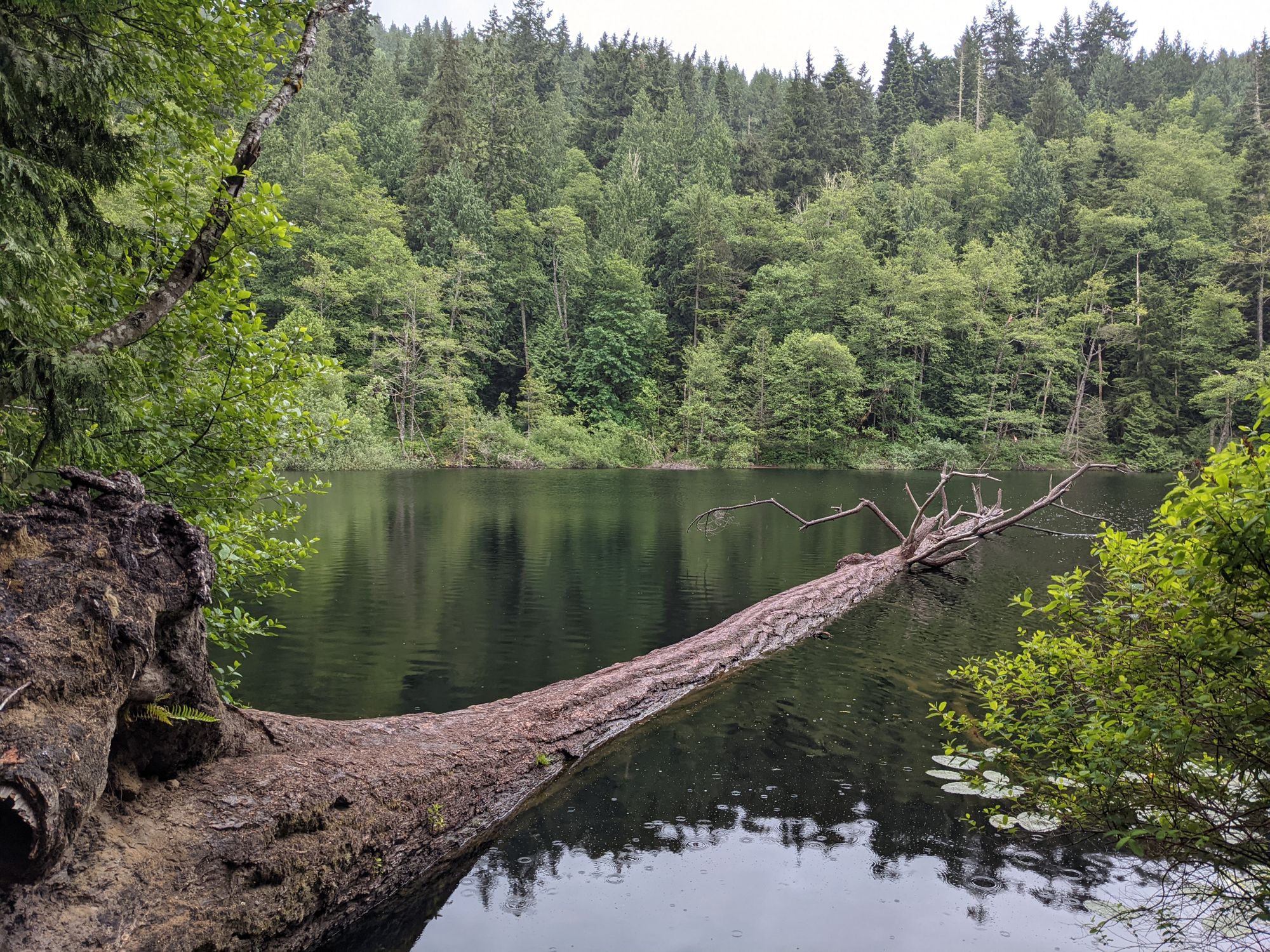 Fragrance Lake Trail