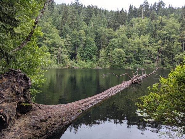 Fragrance Lake Trail